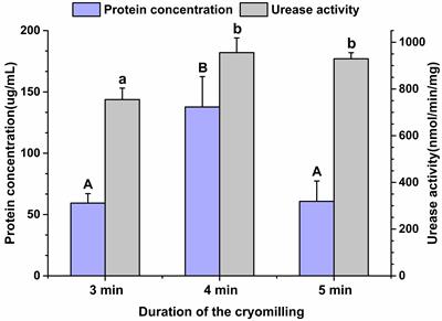 Pipeline for Targeted Meta-Proteomic Analyses to Assess the Diversity of Cattle Rumen Microbial Urease